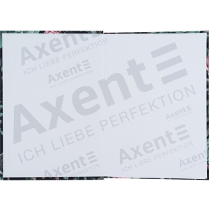 8456-4-A-Axent