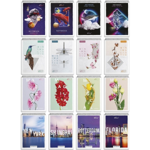 СБВ-17 Бриск