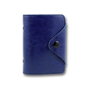 ВВ-24 SARIF Бриск