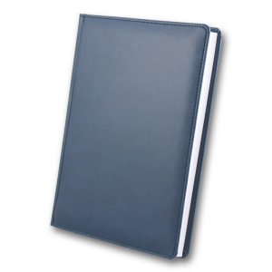 ЗВ-43 WINNER Бриск