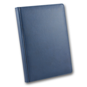 ЗВ-43 WINNER Бриск