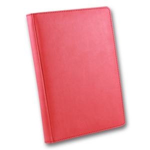 ЗВ-43 WINNER Бриск