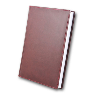 ЗВ-55 WINNER Бриск