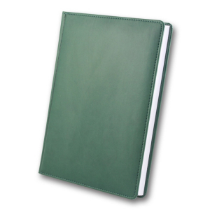 ЗВ-55 WINNER Бриск