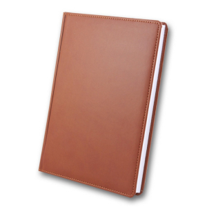 ЗВ-55 WINNER Бриск