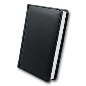 ЗВ-60 WINNER Бриск