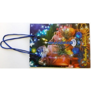 Пакет подарочный